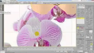 Уроки 3d max - Вебинар по 3Ds max - моделирование орхидеи, книг, студии и стен в 3Ds Max