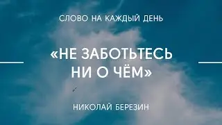 Не заботьтесь ни о чём | Николай Березин