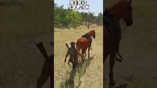 8 years difference in RDR1 vs RDR2