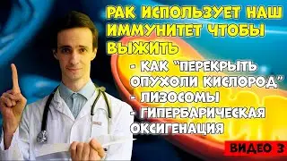 Рак использует наш иммунитет чтобы выжить. Как ударить по опухоли естественными способами (3)