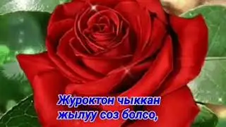 Жашоонуз жакшылыктарга болонсун!!! 💚💛❤