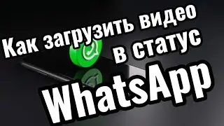 Как загрузить видео в статус  WhatsApp