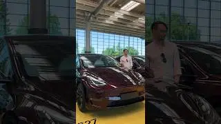 СПИДРАН ЗАКАЗА НОВОЙ TESLA MODEL 3 (WORLD RECORD)