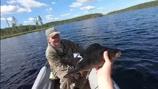 Рыбаки ОБАЛДЕЛИ от этих ОГРОМНЫХ окуней и щуки. Рыбалка в Карелии на спиннинг. .