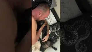 Пришла ко мне с разбегу 😁#тониалабай #чёрнаямамба #щенокалабая