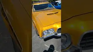 Gold GT