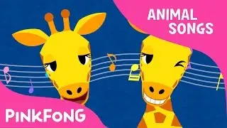 Che Che Koolay Giraffe | Giraffe | Animal Songs | Pinkfong Songs for Children