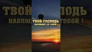 ТВОЙ ГОСПОДЬ НАБЛЮДАЕТ ЗА ТОБОЙ! #koran #куран #коран #куръан #kyran #motivation #ихсан #кино