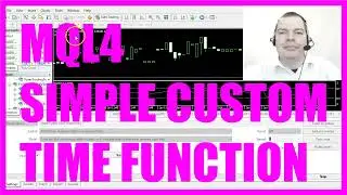 MQL4 TUTORIAL - SIMPLE CUSTOM TIME FUNCTION