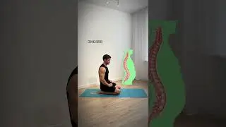 Причина выпирающего живота