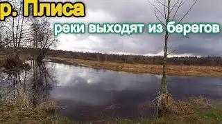 Рыбалка на реке Плиса - Рыбалка в Беларуси - река Плиса
