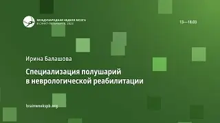 Специализация полушарий в неврологической реабилитации