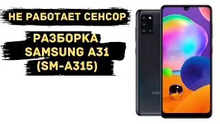 Не работает сенсор на Samsung A31. Разборка Samsung A31