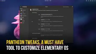 Checking Out Pantheon Tweaks - Must Have Tool to Customize Elementary OS 6