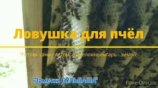 Ловушка для пчёл. Подготовка к роеловному сезону -22.