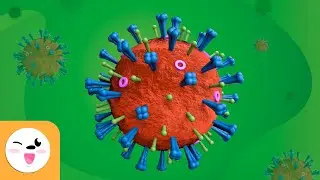 ¿Qué son los virus? - Ciencias para niños - Partes de los virus