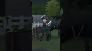 Think I’m gonna start a city living horse ranch lp, thoughts? 👀