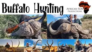 Hunting 2 x Buffalo, Sable and Plains Game