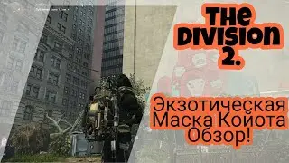 The Division 2. Топовая экзотика! Маска Койота обзор.