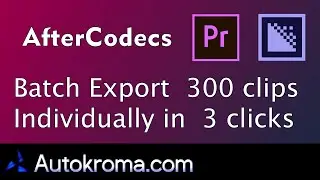 Batch Export 300 Clips Individually in 3 Clicks from Premiere Pro with AfterCodecs MultiRender!