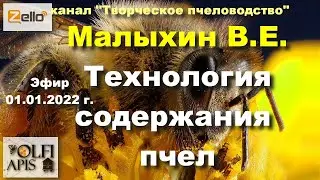 01.01.22 г. Z-рация, канал 