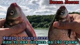 Поклёвки леща на кукурузу. Высокая вода в конце Августа. Рыбалка в конце лета