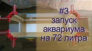 Запуск аквариума на 72 литра