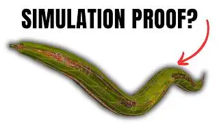 Does This Worm Prove We're In a Computer Simulation? 🤯