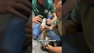 Как он рукой открыл 😮