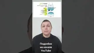 Доступный Ноотроп l L-Теанин 