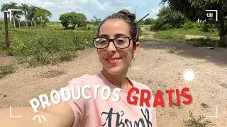 Cómo COLABORAR con MARCAS🛍️desde Cuba/ Así compro en Amazon, SHEIN, Temu…