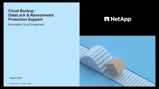 Cloud Backup - DataLock and ransomware protection support