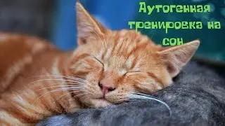 Настройка на Сон/Аутогенная Тренировка/АСМР. Шопот. Поможет вам быстрее уснуть.