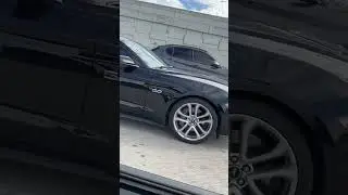 Mustang owner scared to run that $hit got into the fast lane 😂😂😂😂😂😂😂