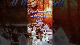 С началом зимы!