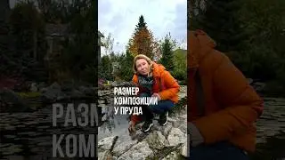 Размер композиции у пруда.