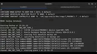 Oracle CLOUD: Back Up Oracle Databases to bucket Cloud Service Part 2
