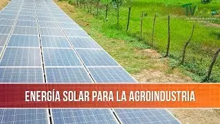 Beneficios de la Energía Solar para la Agroindustria - TvAgro por Juan Gonzalo Angel Restrepo