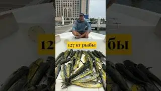 Рыбалке в Эмиратах #эмиратырыбалка #оаэрыбалка #фуджейрарыбалка