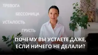 КАК СТАВИТЬ ЦЕЛИ И ДОСТИГАТЬ ВСЕГО В БАЛАНСЕ БЕЗ ВЫГОРАНИЯ, СТРАХОВ И УСТАЛОСТИ | СВЕТЛАНА ЛИ