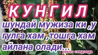 КИРГИЗИСТОНЛИК ГУЗАЛЛАРИМ УЧУН