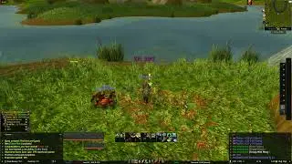 World of Warcraft Find the Lost Guards