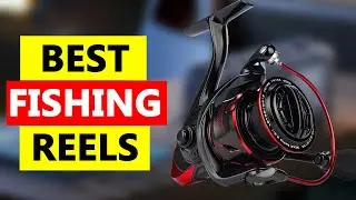 Top 5 Best Fishing Reels 2024