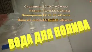 ВОДА ДЛЯ ПОЛИВА.Какой водой лучше поливать растения