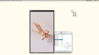 Sunchatcher | Animated Overlay Tutorial for Photoshop