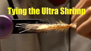 Tying the Ultra Shrimp - Saltwater Shrimp Fly Tying Tutorial Striped Bass Fly