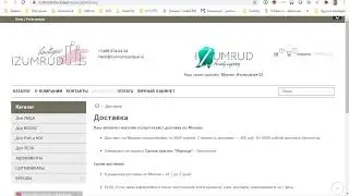 Разбор интернет-магазинов на платформе InSales №25