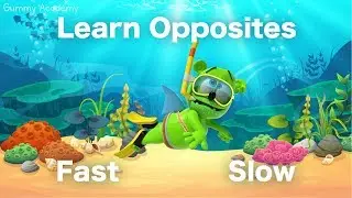 Learn OPPOSITES With Gummibär - FAST and SLOW - Gummy Shark Week 2019 - Learn English Words
