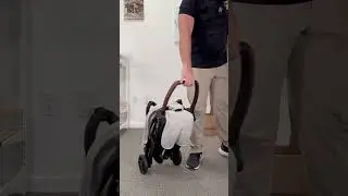 Best Compact Strollers ✈️ 