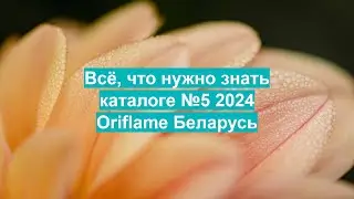 Все, что нужно знать о каталоге №5, чтобы извлечь максимум выгоды